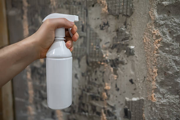 Male hand sprays antifungal solution on a moldy wall.